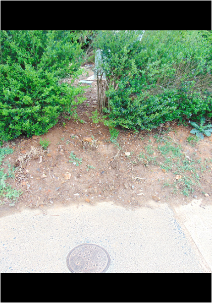 The damaged water main has been replaced and reconnected! The damaged water main has been replaced and reconnected!