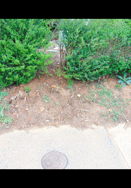 The damaged water main has been replaced and reconnected! The damaged water main has been replaced and reconnected!