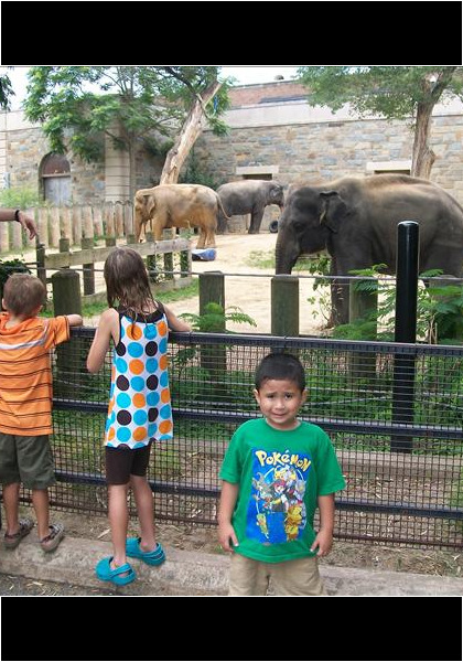 Summer 2010 trip to the Zoo in Washington D.C! Note the expression!?
