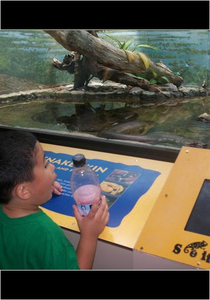 Summer 2010 trip to the Snake house at the Zoo in Washington, DC! Note the expression!?