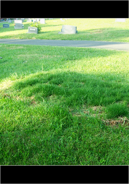 The grassy knoll that was there after his gravesite was taken down! Something had to be done to remember this great leader!