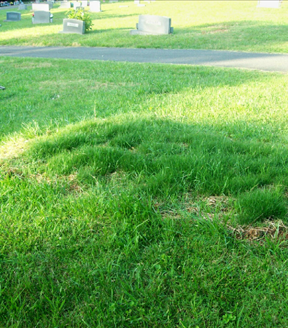 The grassy knoll that was there after his gravesite was taken down! Something had to be done to remember this great leader! The grassy knoll that was there after his gravesite was taken down! Something had to be done to remember this great leader!