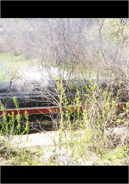 611, through the bushes, from the 5th Street Bridge! 611, through the bushes, from the 5th Street Bridge!
