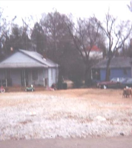 *****The Bottoms! *****The Bottoms!